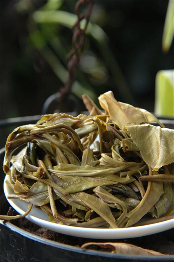 Insulin Storage Breakthrough: Safe at Room Temperature for Months