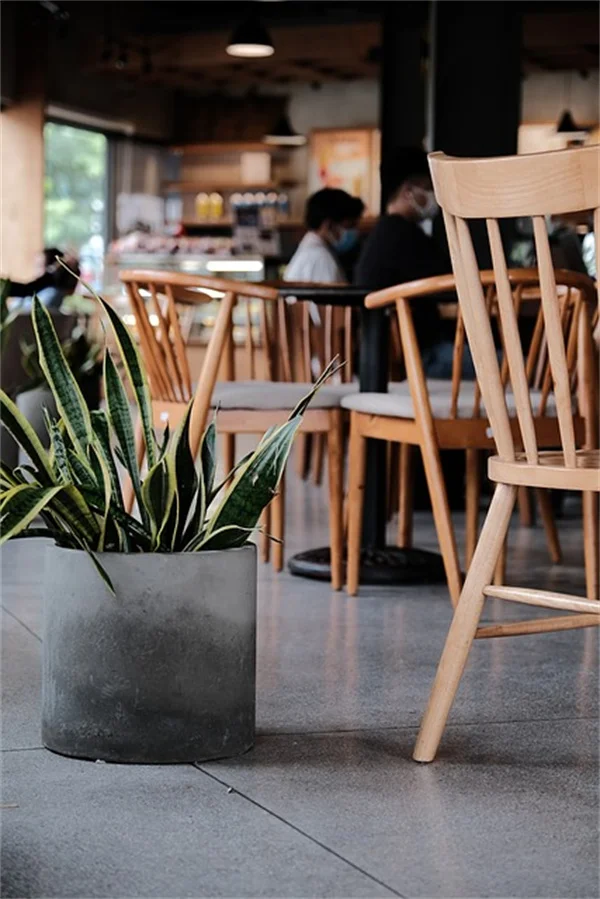 STI Rates in U.S. Finally Stabilizing - CDC Reports Hopeful Trends