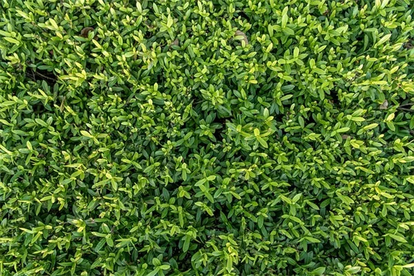 ADHD Medication Errors Spike 300% - How to Protect Yourself Now