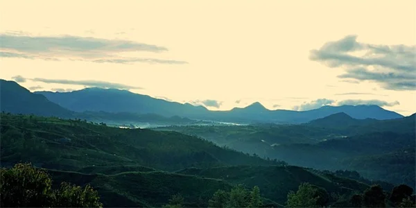 Protein Diet Coke: Viral Trend or Healthy Hack? Experts Weigh In