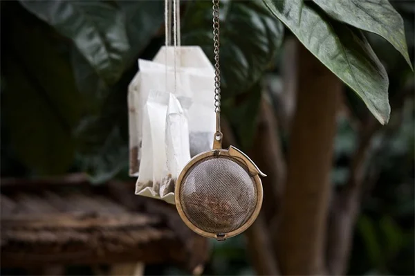 Protein Diet Coke: Viral Trend or Healthy Hack? Experts Weigh In